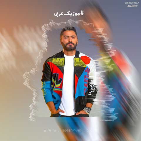 دانلود آهنگ تامر حسنی ماباتالنش احساس