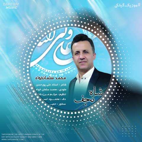 دانلود آهنگ محمد سلمانخواه شاه نجف