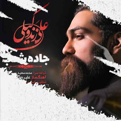 دانلود آهنگ علی زندوکیلی جاده شب