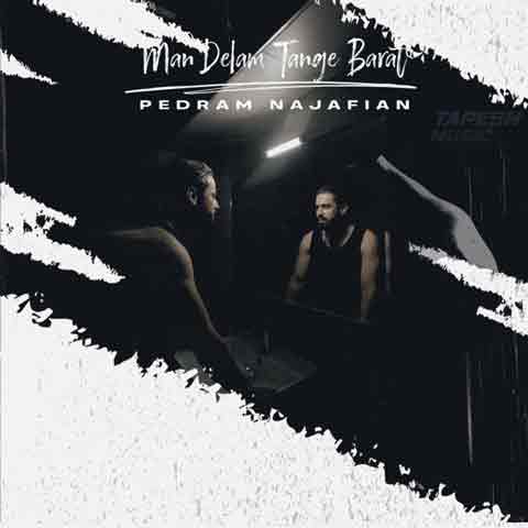 دانلود آهنگ پدرام نجفیان من دلم تنگه برات