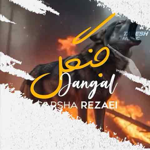 دانلود آهنگ گرشا رضایی جنگل