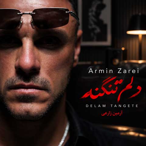 دانلود آهنگ آرمین زارعی دلم تنگته